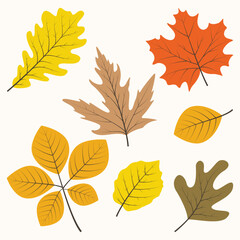 Naklejka premium Collection of hand drawn autumn with seasonal plants and leaves. Set of hand drawn plants and leaves. Colorful of natural elements for seasonal backgrounds.