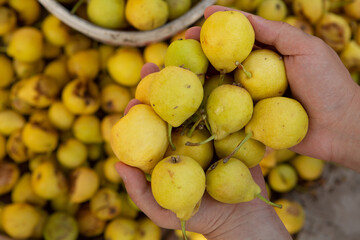 Yellow pears in a basket on the counter of a farmers market.