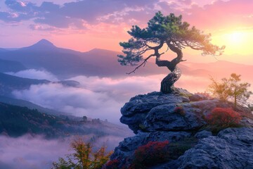 Beautiful tree growing out of rock at sunrise. Colorful landscape with old bonsai, foggy mountains in morning