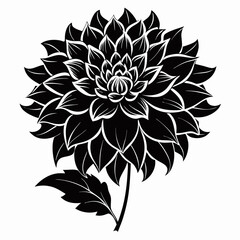 Dahlia Flower Art: Classic Floral Elements for Botanical Designs