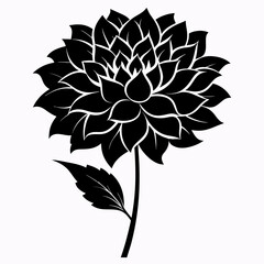 Dahlia Flower Art: Classic Floral Elements for Botanical Designs