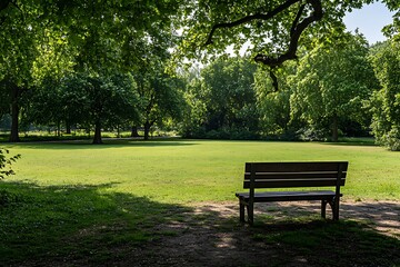 Empty park bench in a peaceful park