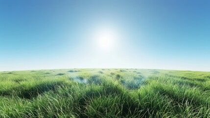 Obraz premium A field of grass with a bright sun shining down on it