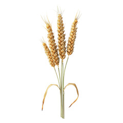 Fototapeta premium An ear of wheat on white background render ultra real