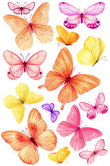 Obraz premium Butterflies set watercolor painting illustration isolated background, colorful butterfly, art collection spring animal
