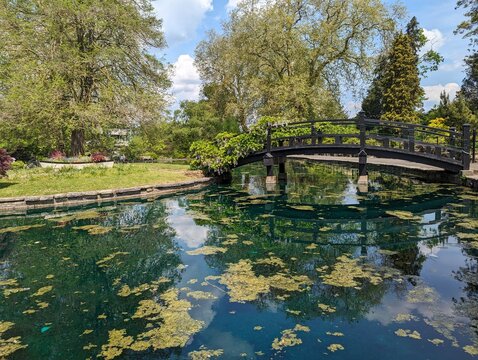 Park england guildford pond day