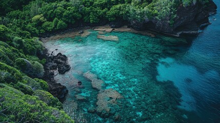 Naklejka premium Man snorkeling in a tropical lagoon with lush green vegetation, captured from above in an aerial view