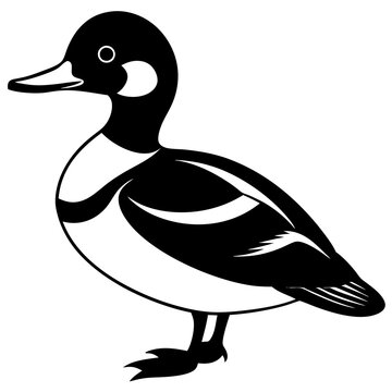 recommend clip art: Bufflehead ducks silhouette vector illustration