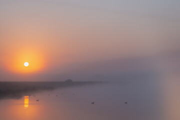 Serene Sunrise Over Misty Waters at Dawn Creates a Breathtaking Scene of Natural Beauty and Calmness