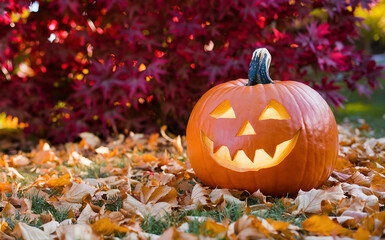 Autumn, fall season. Halloween pumpkin as decoration  in the garden. Space for text. 