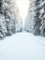 A serene winter road lined with snow-covered trees, creating a peaceful and picturesque landscape for nature lovers.