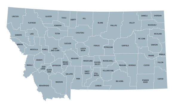 Montana, U.S. state, subdivided into 56 counties, gray political map with borders and county names. State in the Mountain West region of United States, nicknamed Big Sky Country, and Treasure State.