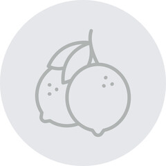 Lemon Vector Line Grey Circle Grey