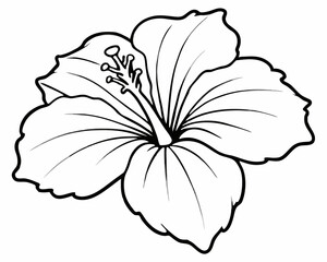 Beautiful Line Art Hibiscus Flower Illustration on White: Ideal for Floral Designs