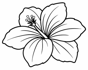 Beautiful Line Art Hibiscus Flower Illustration on White: Ideal for Floral Designs