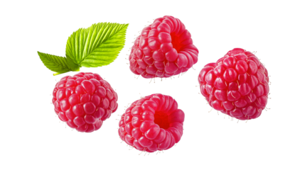 Raspberry isolated transparent objects