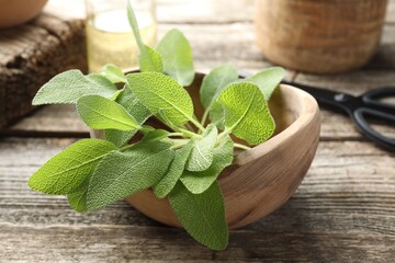 Fresh sage leaves in bowl on wooden table, closeup