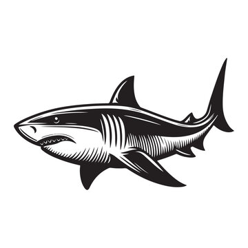 recommend clip art: Line art of shark cartoon vector