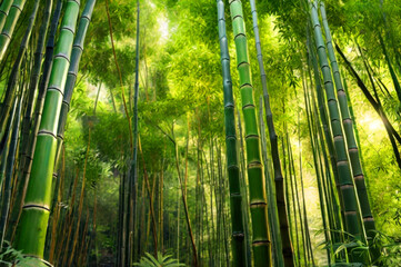 Fototapeta premium Serene Bamboo Forest with Detailed Stalks