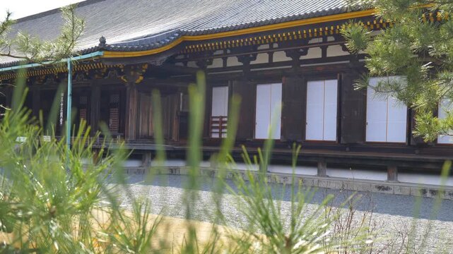  日本、京都、三十三間堂、天台宗の寺院、春、泉回遊式庭園、蓮華王院