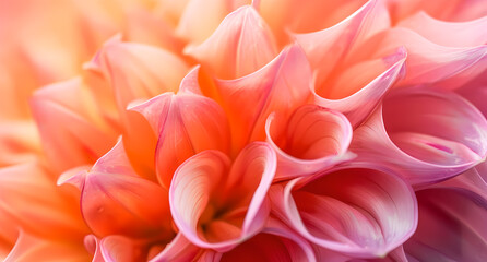 close up of flower