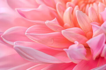 Fototapeta premium close up of flower