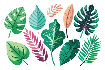 Fototapeta premium Collection of Colorful Tropical Leaves and Branches