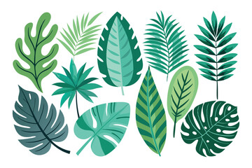 Fototapeta premium A Collection of Tropical Leaves in Green Hues