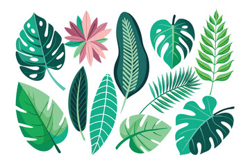 Fototapeta premium Collection of Diverse Tropical Leaves in Green and Pink Hues