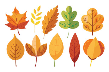 Obraz premium Collection of Colorful Autumn Leaves with Varying Shapes and Sizes