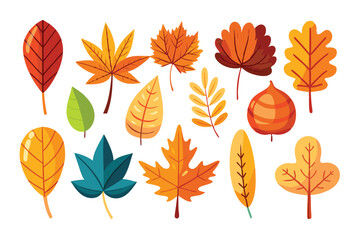 Collection of Colorful Autumn Leaves