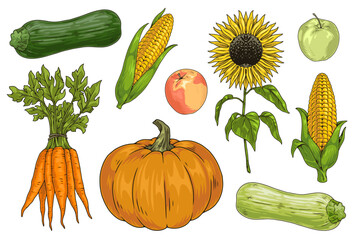 Vegetables and fruits set elements