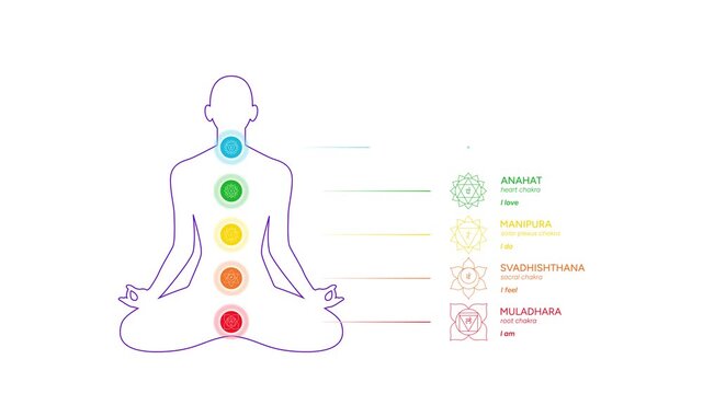 Chakras infographic, names, titles, line art symbol icons 4K motion video. Silhouette of a human body in a lotus position animation. Chakra system information illustration on white background