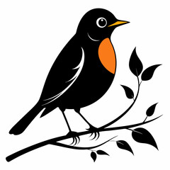 vector art black silhouette american robin bird  illustration