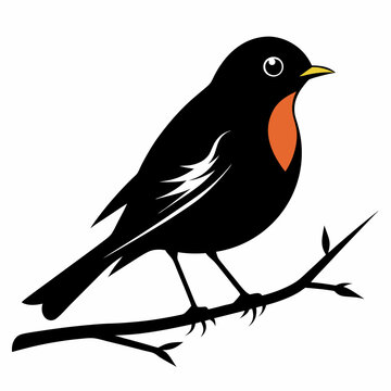 recommend clip art: vector art black silhouette american robin bird  illustration