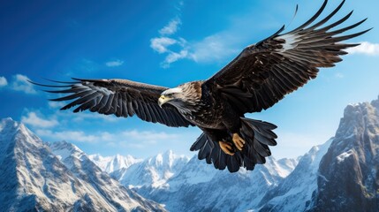 A majestic eagle soaring high above the Himalayas, its wings outstretched against the clear blue sky