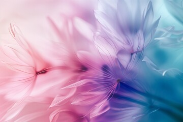 Soft abstract gradient background, abstract dandelion flower