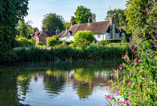 Reflections in the village pond at Buriton  with vivid pink flowers in the foreground.  