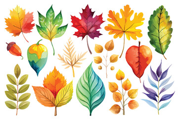 Obraz premium Watercolor Collection of Fall Foliage and Branch Details