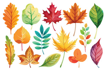 Obraz premium Watercolor Illustration of Various Autumn Leaves