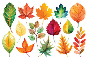 Watercolor Illustration of Colorful Autumn Leaves