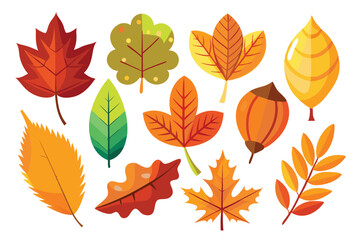 Collection of Colorful Autumn Leaves and Acorn