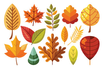 Obraz premium A Collection of Diverse Autumn Leaves in Various Colors