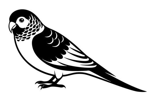 recommend clip art: Parakeet silhouette vector illustration