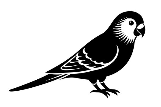 recommend clip art: Parakeet silhouette vector illustration