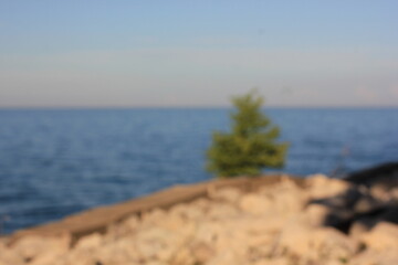 A blurry dreamy view of the summer shoreline.