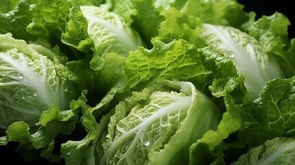 Close up of a fresh iceberg lettuce, macro photography, delicious textures, front view from above, studio lighting, white background.