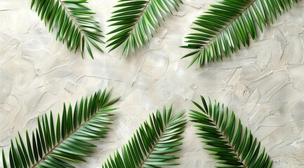 Obraz premium palm tree leaf