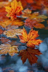 Orange autumn maple leaf lies in an autumn puddle after the rain