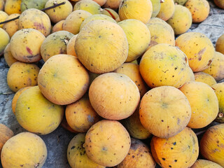 Ripe Santol or Sentul fruit in the natural garden.(Sandoricum koetjape).
